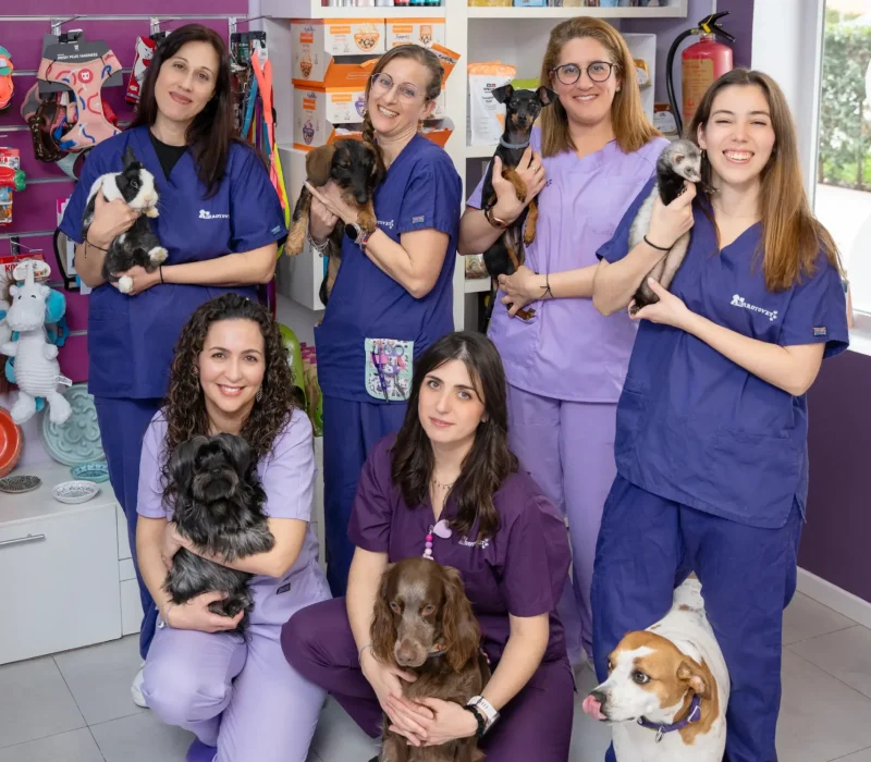 Equipo de ArroyVet