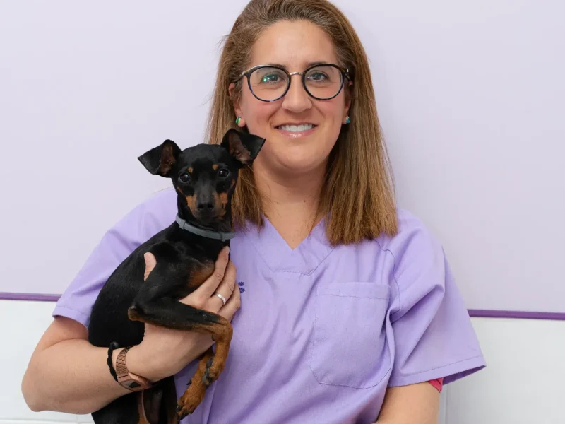 Celia-perro-Arroyovet-clinica-veterinaria-Arroyomolinos