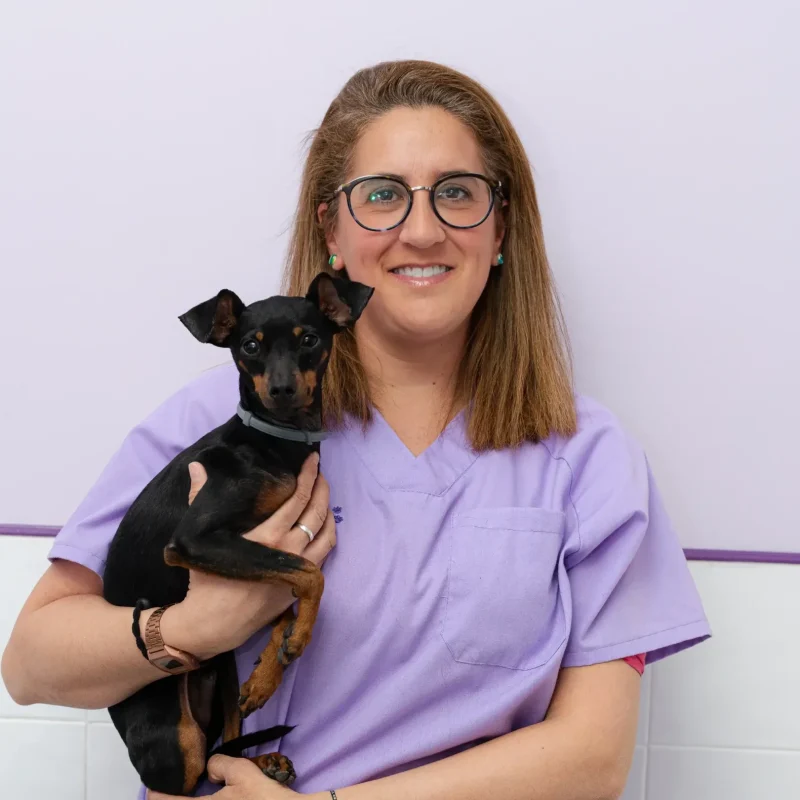 Celia-perro-Arroyovet-clinica-veterinaria-Arroyomolinos